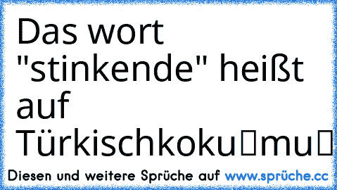 Das wort "stinkende" heißt auf Türkisch
kokuşmuş