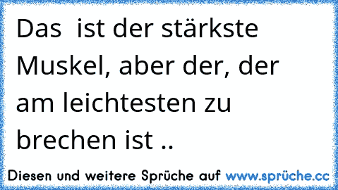 Das ♥ ist der stärkste Muskel, aber der, der am leichtesten zu brechen ist ..