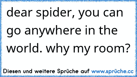 dear spider, you can go anywhere in the world. why my room?