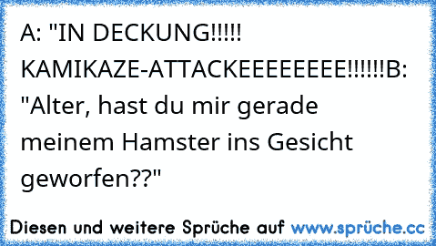 A: "IN DECKUNG!!!!! KAMIKAZE-ATTACKEEEEEEEE!!!!!!
B: "Alter, hast du mir gerade meinem Hamster ins Gesicht geworfen??"