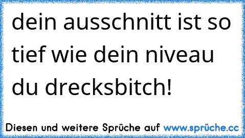 dein ausschnitt ist so tief wie dein niveau du drecksbitch!