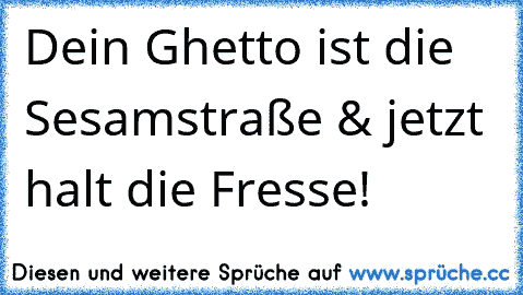 Dein Ghetto ist die Sesamstraße & jetzt halt die Fresse!