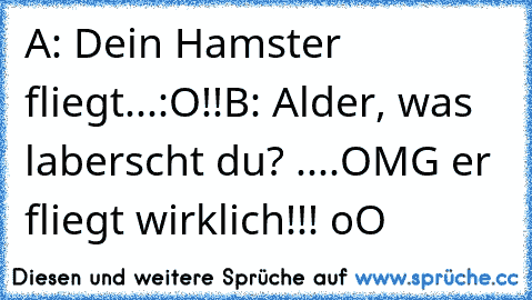 A: Dein Hamster fliegt...:O!!
B: Alder, was laberscht du?
 ....OMG er fliegt wirklich!!! oO