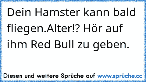 Dein Hamster kann bald fliegen.
Alter!? Hör auf ihm Red Bull zu geben.