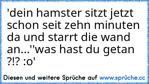 'dein hamster sitzt jetzt schon seit zehn minuten da und starrt die wand an...'
'was hast du getan ?!? :o'