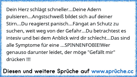 Dein Herz schlägt schneller...
Deine Adern pulsieren...
Angstschweiß bildet sich auf deiner Stirn...
Du reagierst panisch...
Fängat an Schutz zu suchen, weit weg von der Gefahr...
Du betrachtest es intesiv und bei dem Anblick wird dir schlecht...
Das sind alle Symptome für eine ...
SPINNENFOBIE!
Wer genauso darunter leidet, der möge "Gefällt mir" drücken !!!