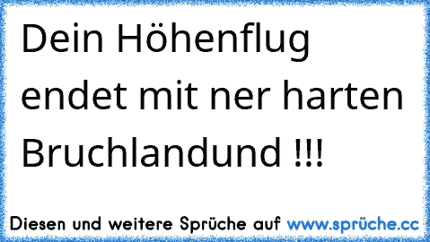 Dein Höhenflug endet mit ner harten Bruchlandund !!!