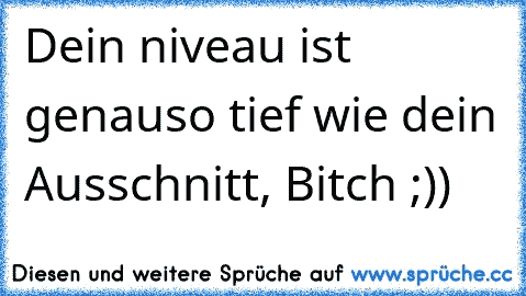 Dein niveau ist genauso tief wie dein Ausschnitt, Bitch ;))