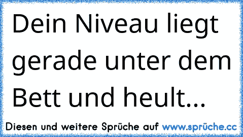 Dein Niveau liegt gerade unter dem Bett und heult...