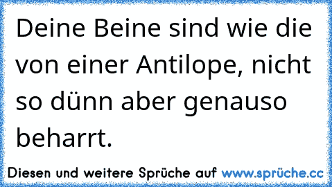 Deine Beine sind wie die von einer Antilope, nicht so dünn aber genauso beharrt.