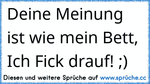 Deine Meinung ist wie mein Bett, Ich Fick drauf! ;)