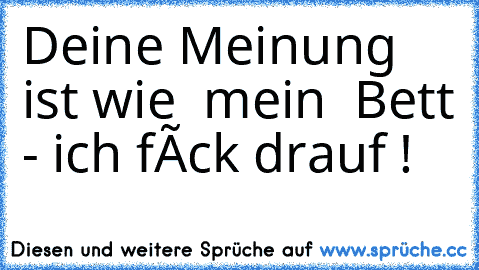 Deine Meinung ist wie  mein  Bett - ich fîck drauf !