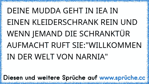 DEINE MUDDA GEHT IN IEA IN EINEN KLEIDERSCHRANK REIN UND WENN JEMAND DIE SCHRANKTÜR AUFMACHT RUFT SIE:"WILLKOMMEN IN DER WELT VON NARNIA"