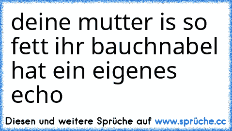 deine mutter is so fett ihr bauchnabel hat ein eigenes echo