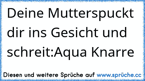 Deine Mutter
spuckt dir ins Gesicht und schreit:
Aqua Knarre