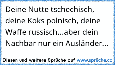 Deine Nutte tschechisch, deine Koks polnisch, deine Waffe russisch...aber dein Nachbar nur ein Ausländer...