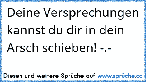 Deine Versprechungen kannst du dir in dein Arsch schieben! -.-