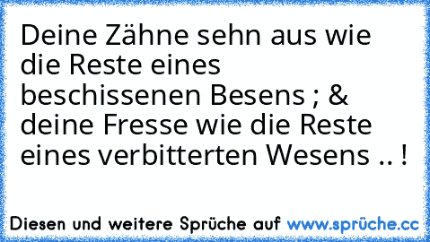 Deine Zähne sehn aus wie die Reste eines beschissenen Besens ; & deine Fresse wie die Reste eines verbitterten Wesens .. !