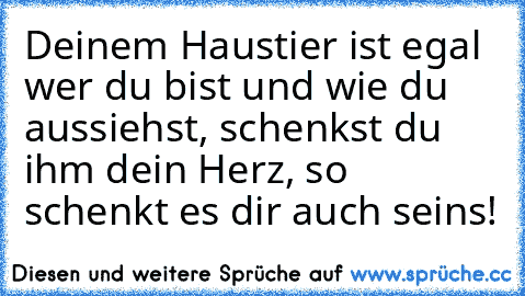 Deinem Haustier ist egal wer du bist und wie du aussiehst, schenkst du ihm dein Herz, so schenkt es dir auch seins! ♥