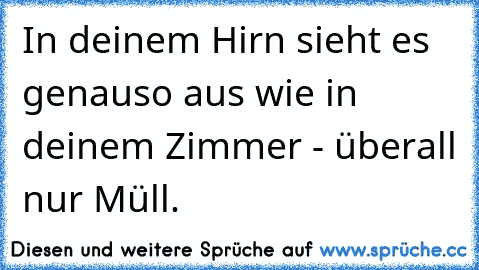 In deinem Hirn sieht es genauso aus wie in deinem Zimmer - überall nur Müll.