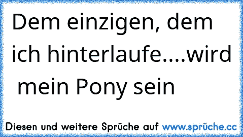 Dem einzigen, dem ich hinterlaufe..
..wird  mein Pony sein