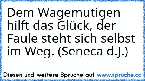 Dem Wagemutigen hilft das Glück, der Faule steht sich selbst im Weg. (Seneca d.J.)