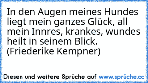 In den Augen meines Hundes liegt mein ganzes Glück, all mein Innres, krankes, wundes heilt in seinem Blick. (Friederike Kempner)