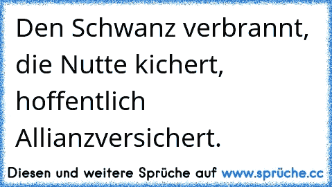 Den Schwanz verbrannt, die Nutte kichert, hoffentlich Allianzversichert.