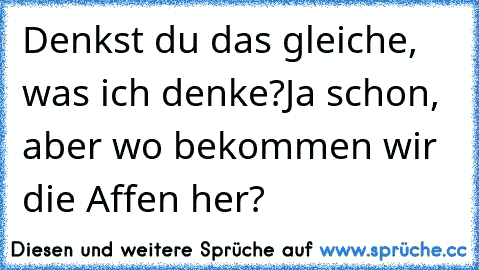 Denkst du das gleiche, was ich denke?
Ja schon, aber wo bekommen wir die Affen her?