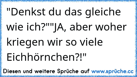 "Denkst du das gleiche wie ich?"
"JA, aber woher kriegen wir so viele Eichhörnchen?!"