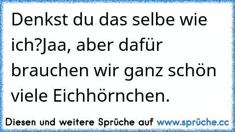 Denkst du das selbe wie ich?
Jaa, aber dafür brauchen wir ganz schön viele Eichhörnchen.