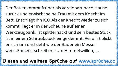 Der Bauer kommt früher als vereinbart nach Hause zurück und erwischt seine Frau mit dem Knecht im Bett. Er schlägt ihn K.O.
Als der Knecht wieder zu sich kommt, liegt er in der Scheune auf einer Werkzeugbank, ist splitternackt und sein bestes Stück ist in einem Schraubstock eingeklemmt. Verwirrt blickt er sich um und sieht wie der Bauer ein Messer wetzt.
Entsetzt schreit er: "Um Himmelswillen, Sie...