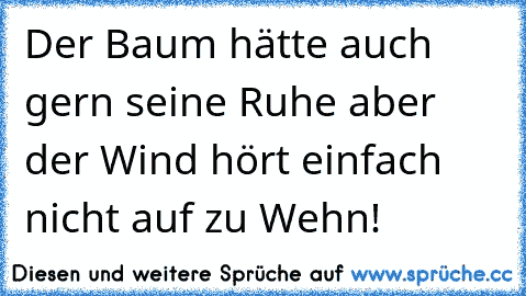 Der Baum hätte auch gern seine Ruhe aber der Wind hört einfach nicht auf zu Wehn!