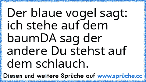 Der blaue vogel sagt: ich stehe auf dem baum
DA sag der andere Du stehst auf dem schlauch.