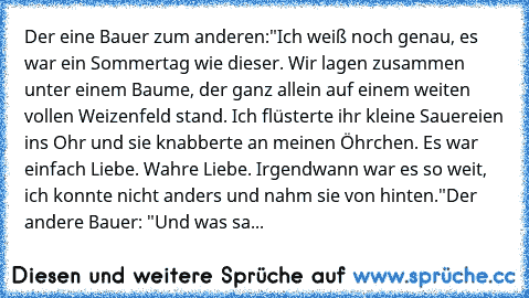 Der eine Bauer zum anderen:
"Ich weiß noch genau, es war ein Sommertag wie dieser. Wir lagen zusammen unter einem Baume, der ganz allein auf einem weiten vollen Weizenfeld stand. Ich flüsterte ihr kleine Sauereien ins Ohr und sie knabberte an meinen Öhrchen. Es war einfach Liebe. Wahre Liebe. Irgendwann war es so weit, ich konnte nicht anders und nahm sie von hinten."
Der andere Bauer: "Und was...