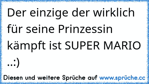 Der einzige der wirklich für seine Prinzessin kämpft ist SUPER MARIO ..:)