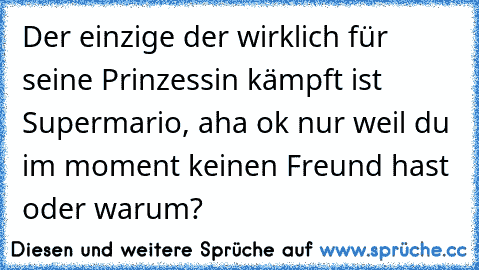 Der einzige der wirklich für seine Prinzessin kämpft ist Supermario, aha ok nur weil du im moment keinen Freund hast oder warum?