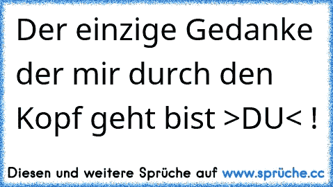 Der einzige Gedanke der mir durch den Kopf geht bist >DU< ! ♥