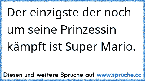 Der einzigste der noch um seine Prinzessin kämpft ist Super Mario.♥