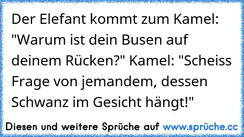 Der Elefant kommt zum Kamel: "Warum ist dein Busen auf deinem Rücken?" Kamel: "Scheiss Frage von jemandem, dessen Schwanz im Gesicht hängt!"