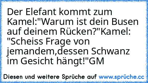 Der Elefant kommt zum Kamel:
"Warum ist dein Busen auf deinem Rücken?"
Kamel: "Scheiss Frage von jemandem,
dessen Schwanz im Gesicht hängt!"
GM