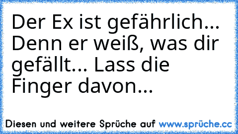 Der Ex ist gefährlich... Denn er weiß, was dir gefällt... Lass die Finger davon...