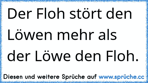 Der Floh stört den Löwen mehr als der Löwe den Floh.