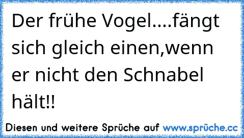 Der frühe Vogel....fängt sich gleich einen,wenn er nicht den Schnabel hält!!