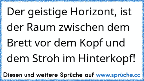 Der geistige Horizont, ist der Raum zwischen dem Brett vor dem Kopf und dem Stroh im Hinterkopf!