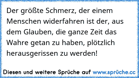 Der größte Schmerz, der einem Menschen widerfahren ist der, aus dem Glauben, die ganze Zeit das Wahre getan zu haben, plötzlich herausgerissen zu werden!