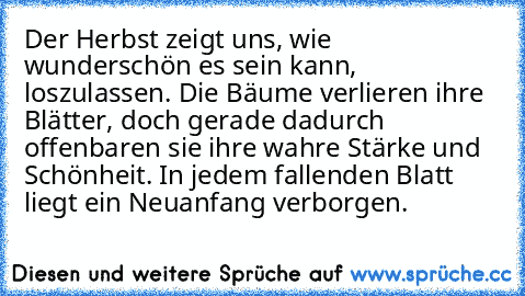 Der Herbst zeigt uns, wie wunderschön es sein kann, loszulassen. Die Bäume verlieren ihre Blätter, doch gerade dadurch offenbaren sie ihre wahre Stärke und Schönheit. In jedem fallenden Blatt liegt ein Neuanfang verborgen.