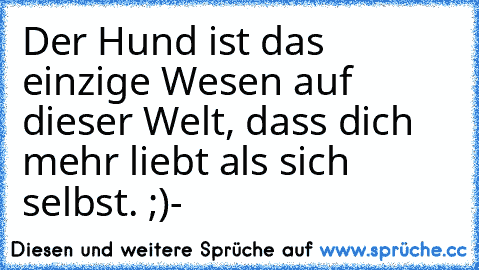 Der Hund ist das einzige Wesen auf dieser Welt, dass dich mehr liebt als sich selbst. ;)-