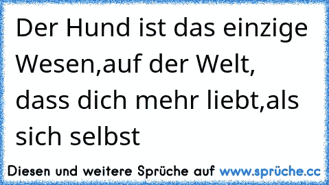 Der Hund ist das einzige Wesen,
auf der Welt, dass dich mehr liebt,
als sich selbst ♥