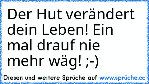 Der Hut verändert dein Leben! Ein mal drauf nie mehr wäg! ;-)